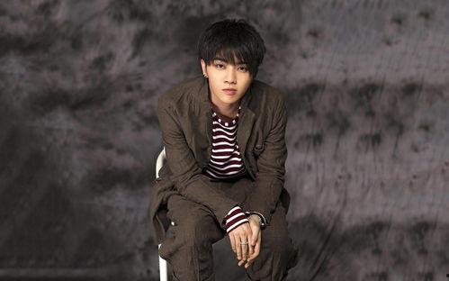 娱乐爆料郑爽和王凯,娱乐圈新CP诞生？